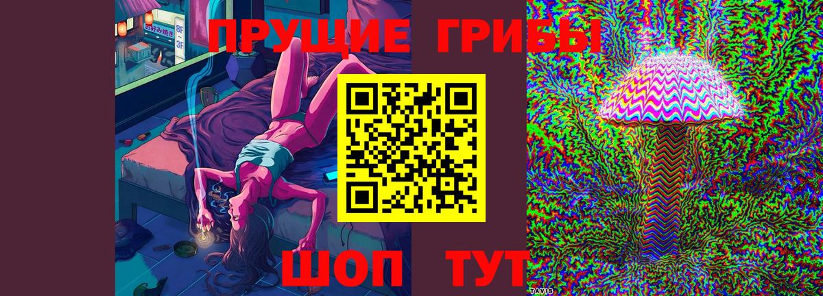 Галлюциногенные грибы прущие грибы Кропоткин