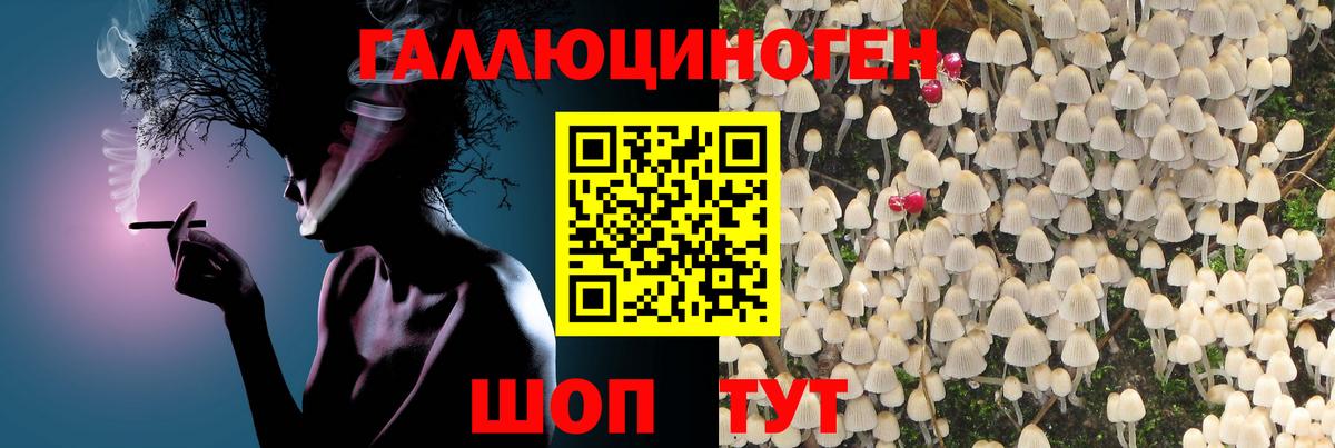 магазин продажи наркотиков  Псилоцибиновые грибы Cubensis  Вход с VPN  Кропоткин 